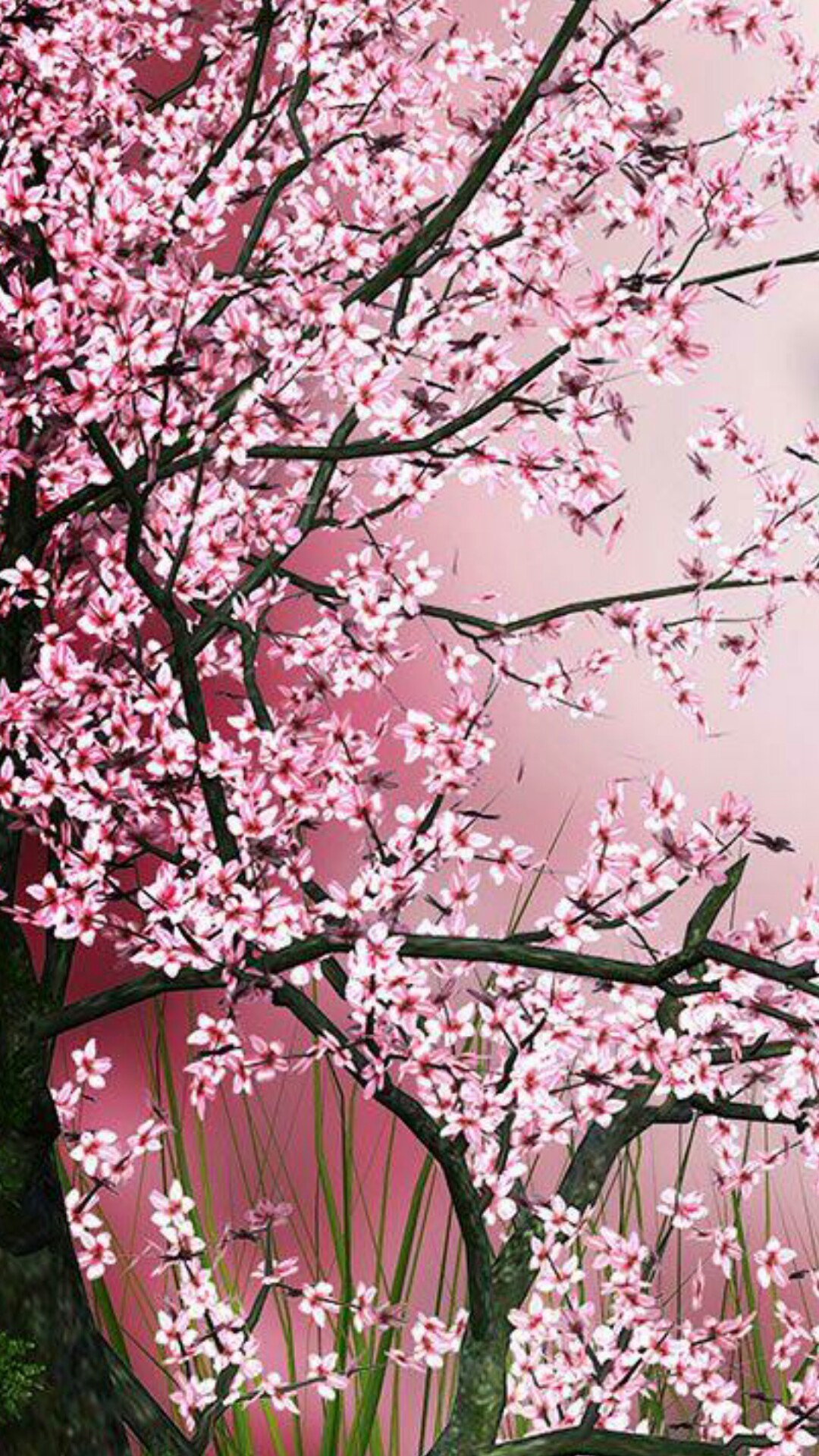 Blossom Tree Aesthetic Wallpapers - Wallpaper Cave
