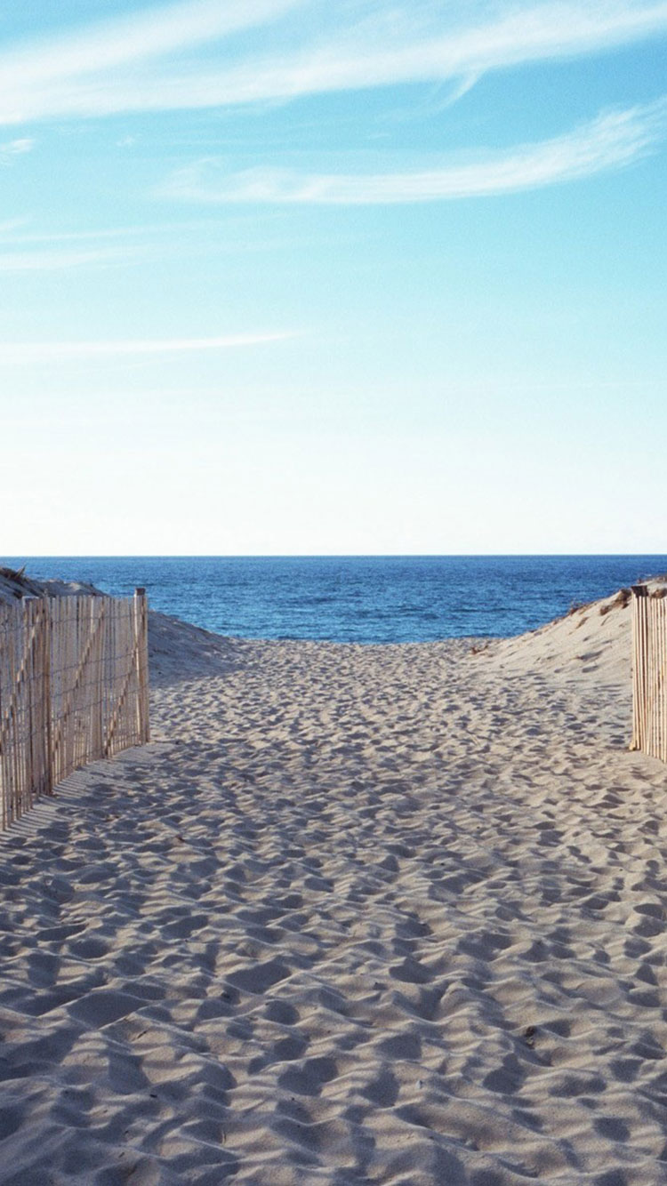 Summer iPhone Wallpaper