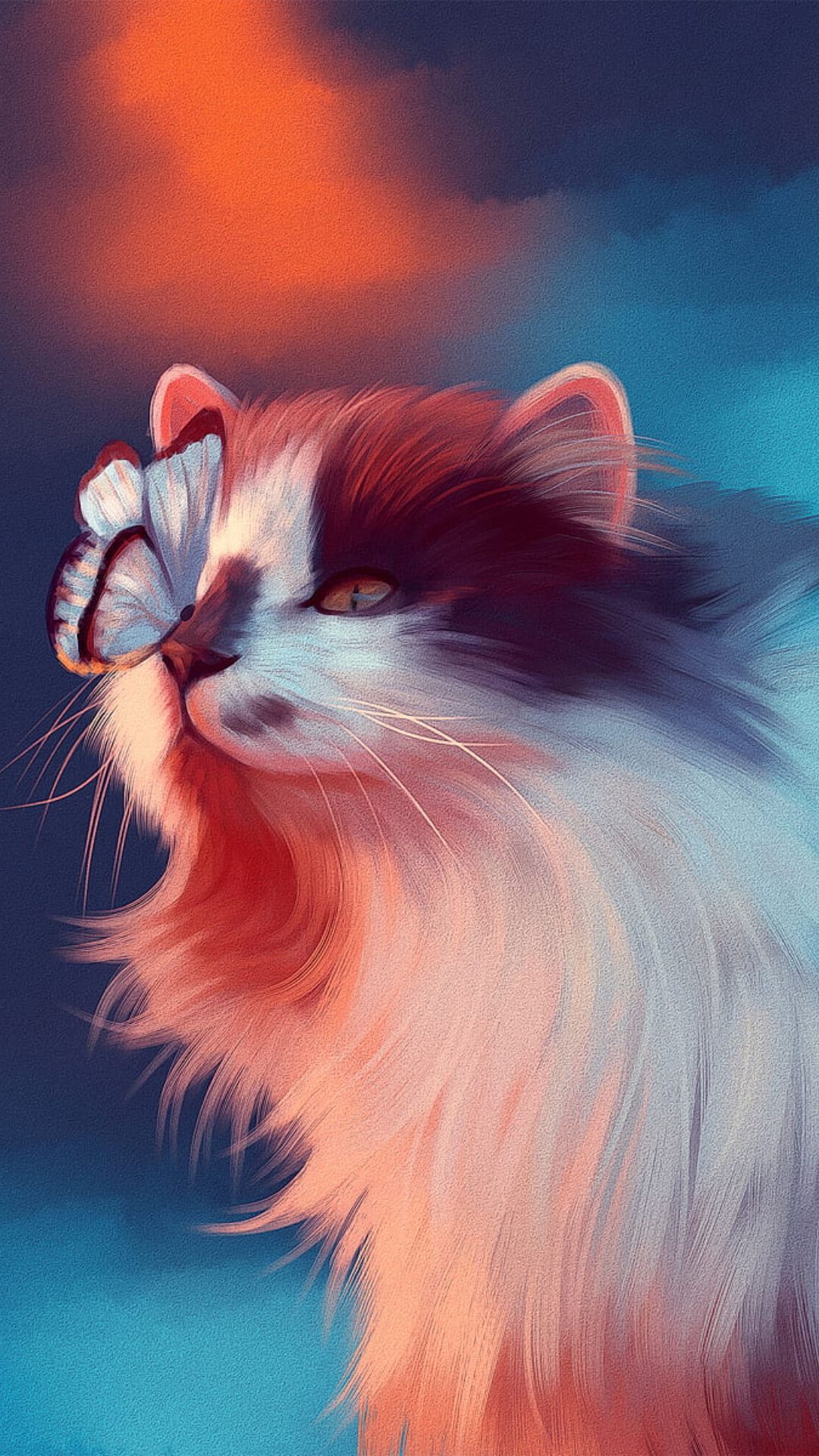 Cat Wallpaper Caty Background, Image & Photo