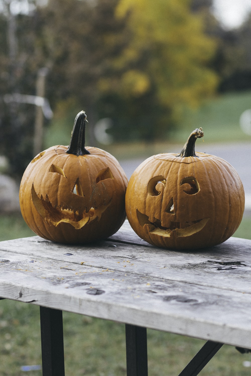Halloween Pumpkin Picture. Download Free Image