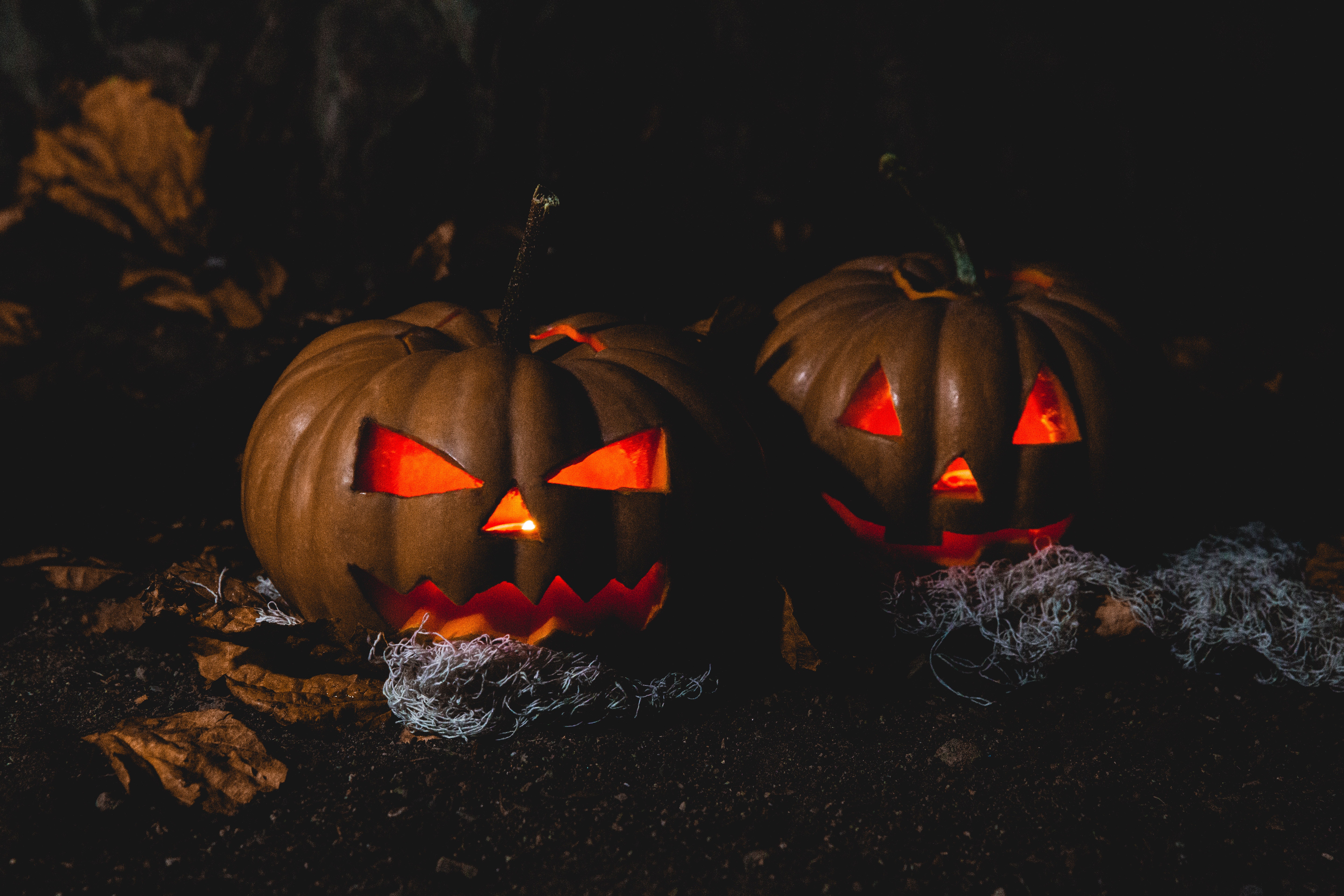 Halloween Background Photo, Download Free Halloween Background & HD Image