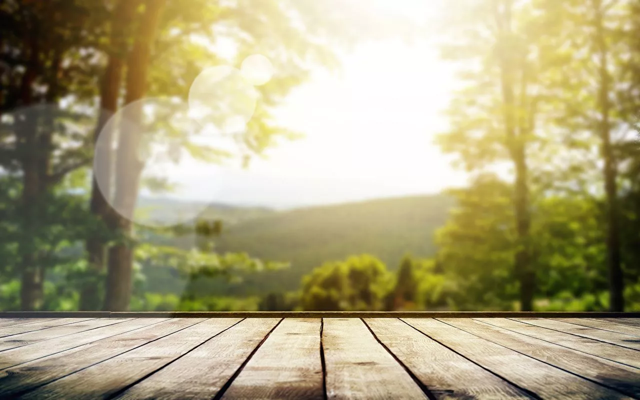 Photos Rays of light Summer Nature Wood planks