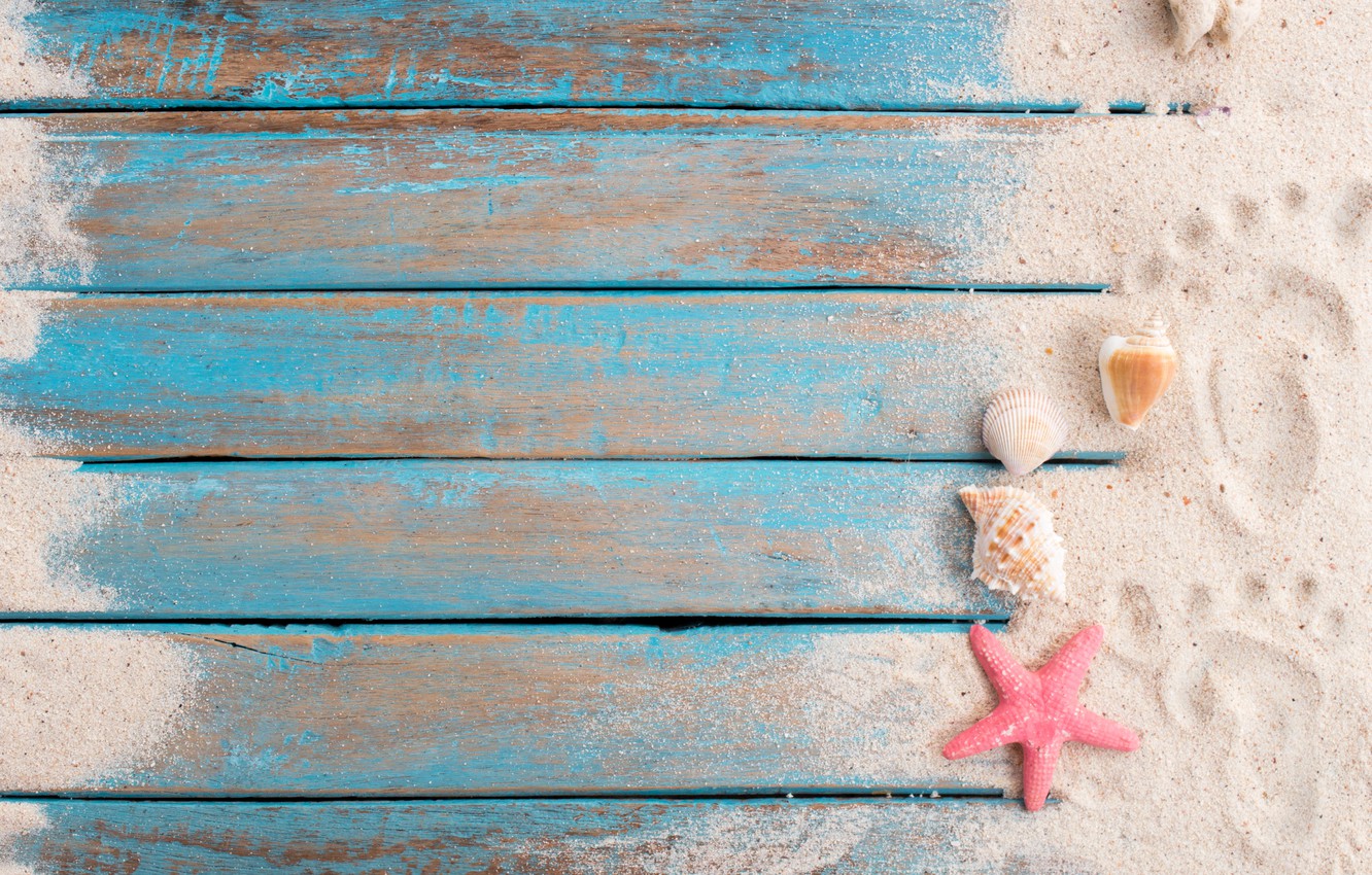 Wallpaper sand, beach, star, shell, summer, beach, wood, sand, marine, starfish, seashells image for desktop, section разное