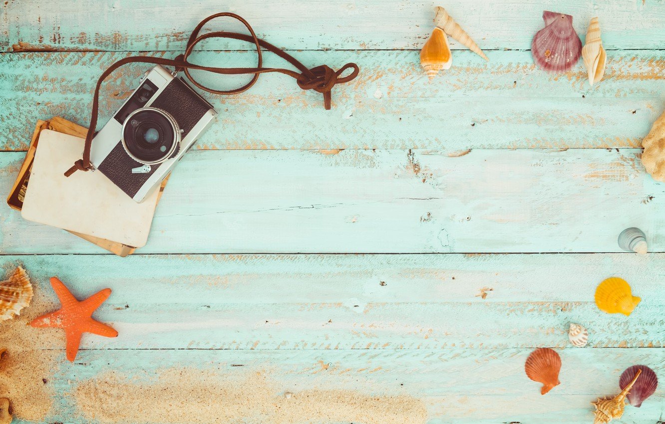 Wallpaper beach, background, Board, star, shell, summer, beach, wood, marine, starfish, seashells image for desktop, section разное