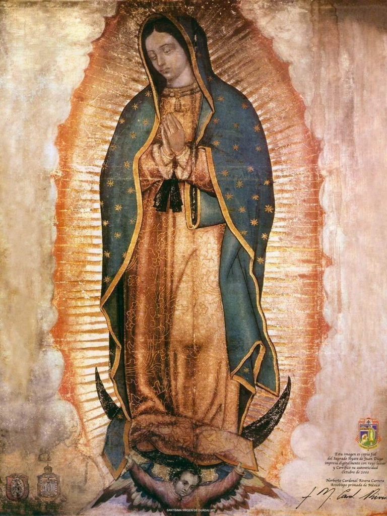 Free download Our Lady Of Guadalupe HD Wallpaper background Download [937x1200] for your Desktop, Mobile & Tablet. Explore Guadalupe Wallpaper. Guadalupe Wallpaper
