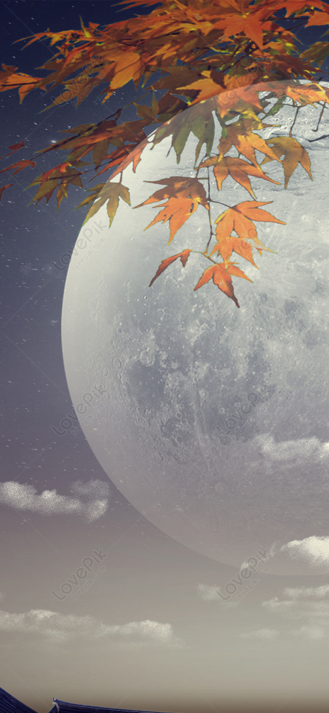 Moon Mobile Wallpaper Image Free Download
