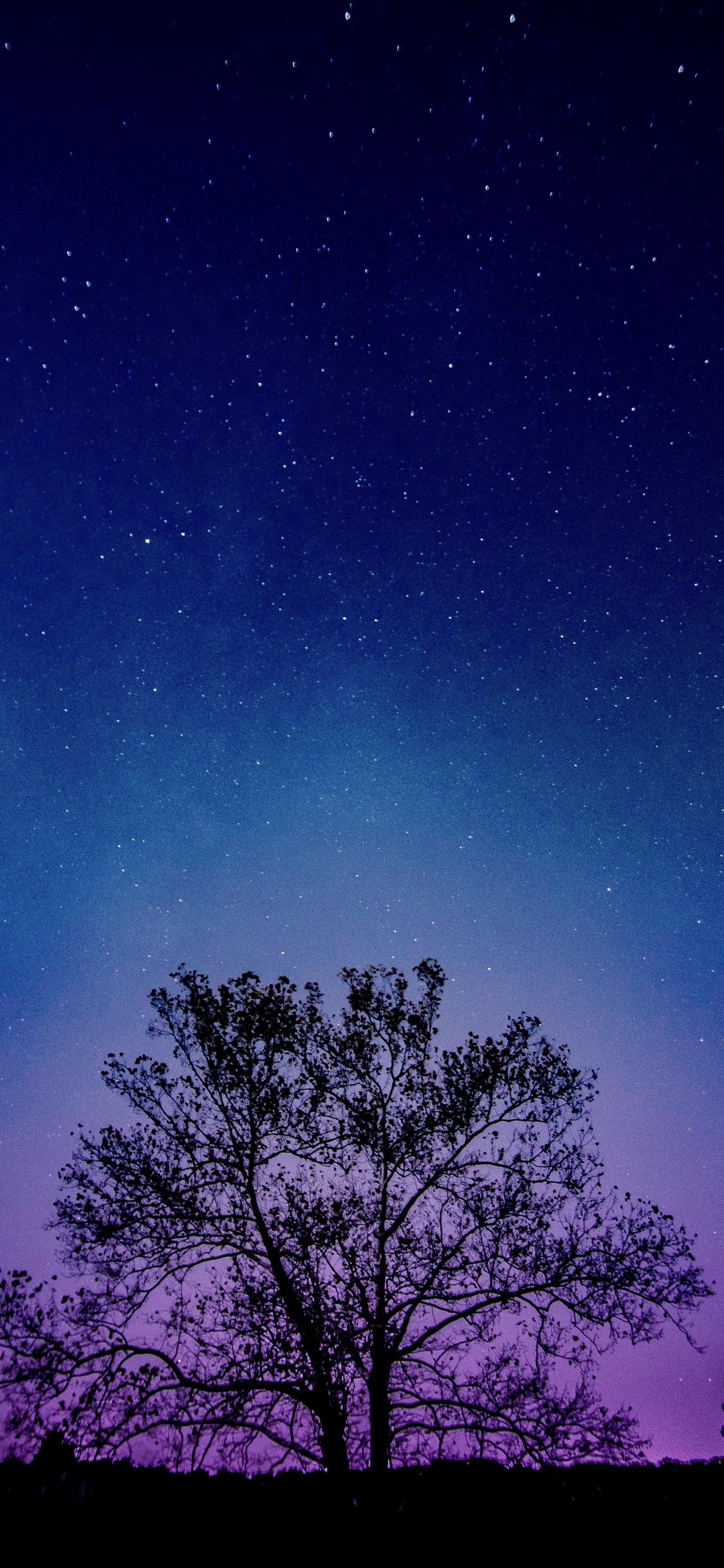 Tree Galaxy Sky 8k iPhone XS, iPhone 10, iPhone X HD 4k Wallpaper, Image, Background, Photo and Picture