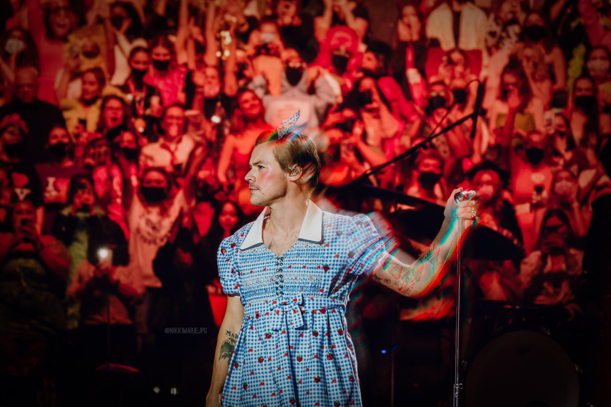 Harry Styles, Olivia Wilde Dress Up for Halloween Concert: Photo