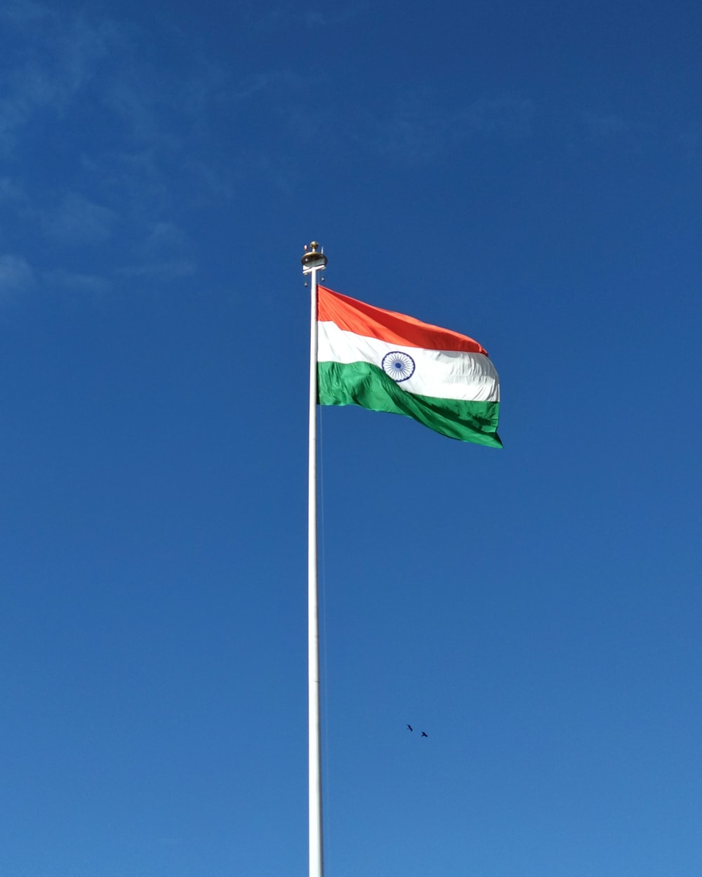 shallow focus photo of flag of India photo