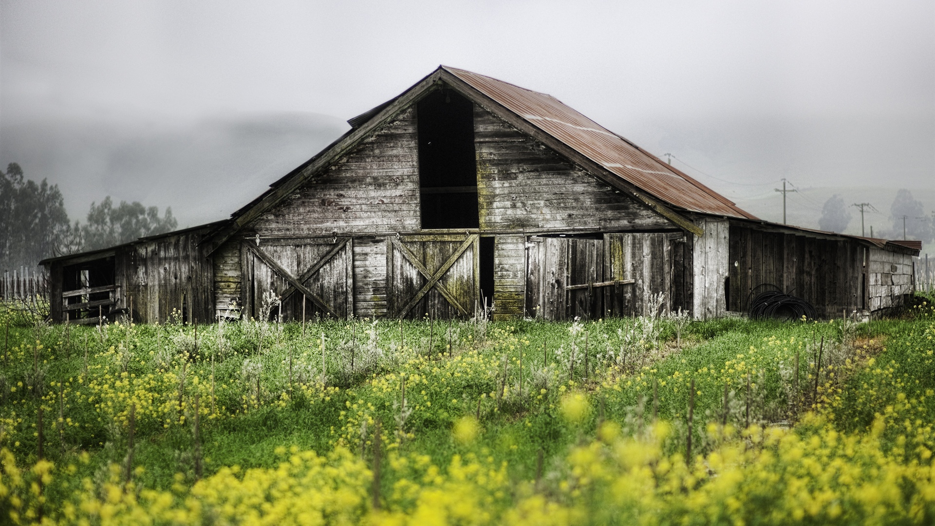 Wallpaper Spring landscape of farms, abandoned wooden house 2560x1600 HD Picture, Image
