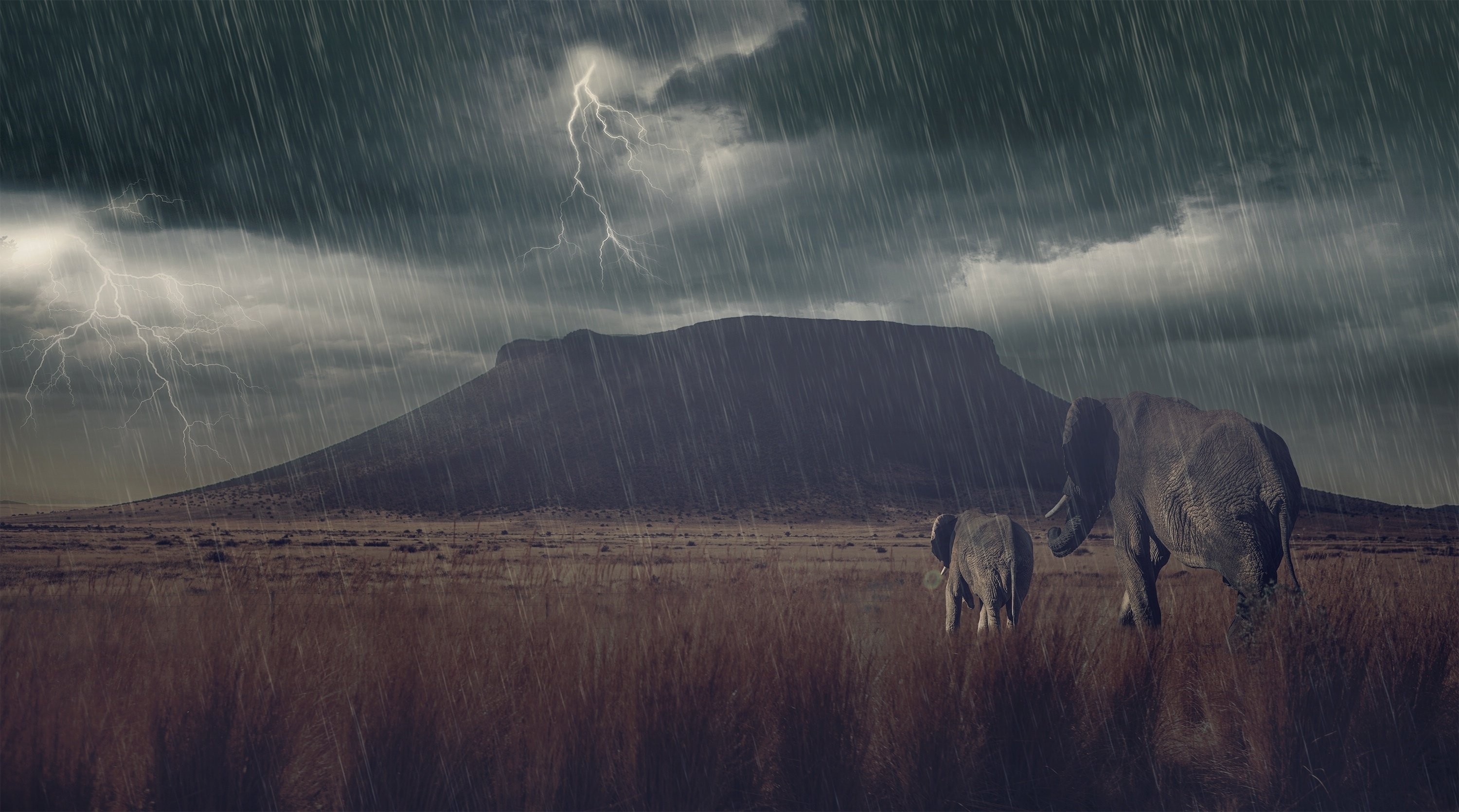 Free download rain mountain storm baby photohop art artwork wallpaper 3000x1670 [3000x1670] for your Desktop, Mobile & Tablet. Explore Rain Storm Wallpaper. Moving Storm Wallpaper, Animated Lightning Storm Wallpaper