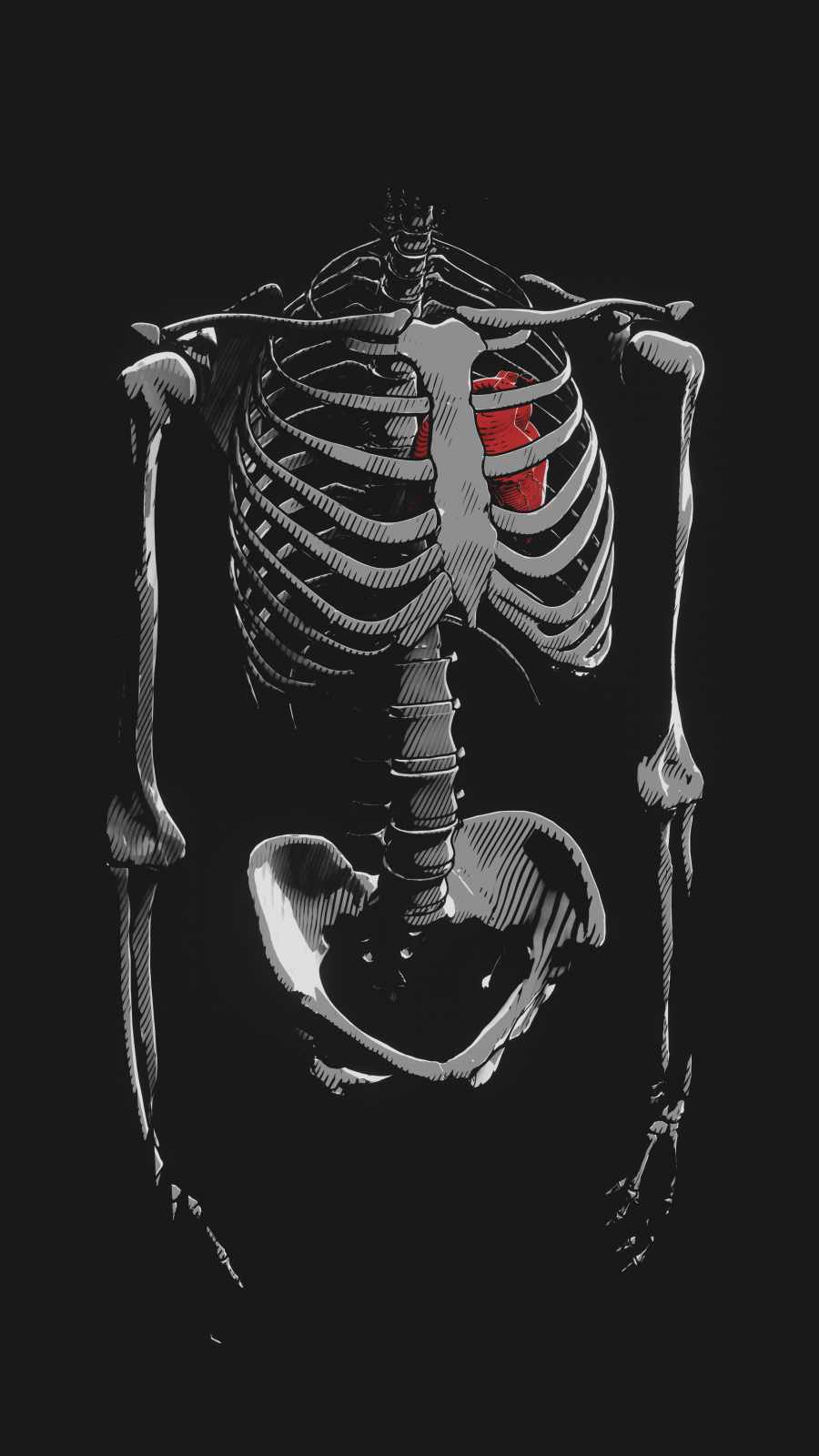 Heart In Skeleton IPhone Wallpaper Wallpaper, iPhone Wallpaper