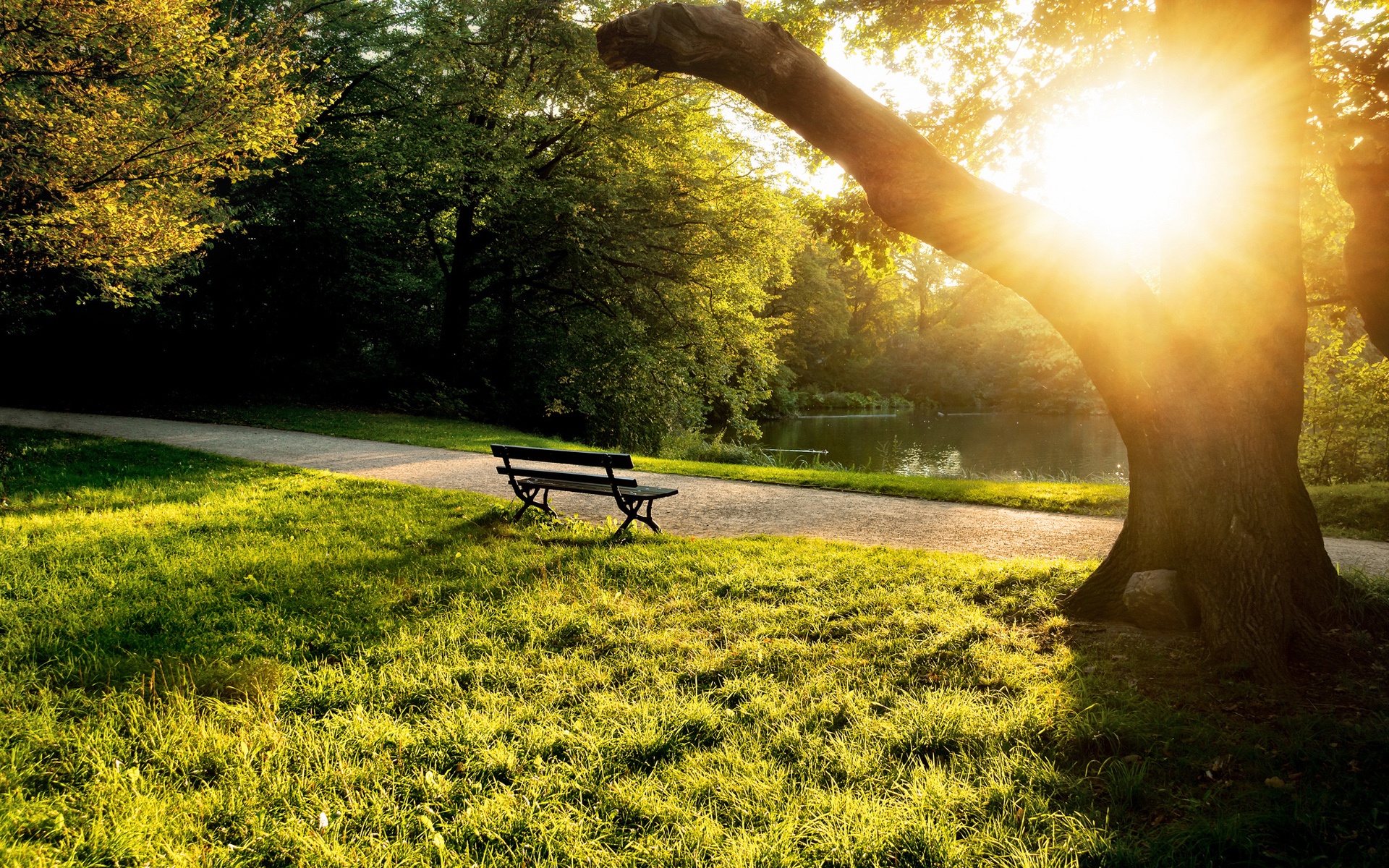 Wallpaper Summer morning in the park, bench, trees, grass, sunlight 1920x1200 HD Picture, Image