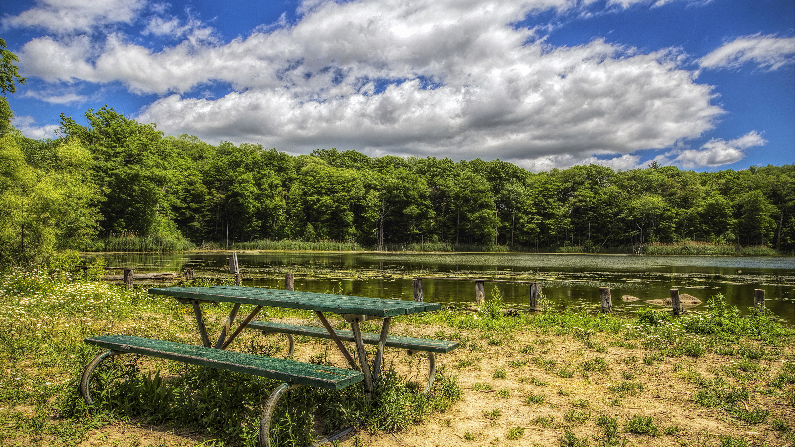Photos HDR Summer Nature Sky Lake forest Coast Bench 2560x1440