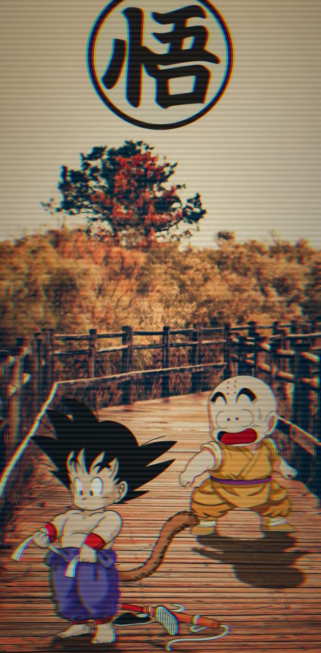 Goku & Krillin wallpaper