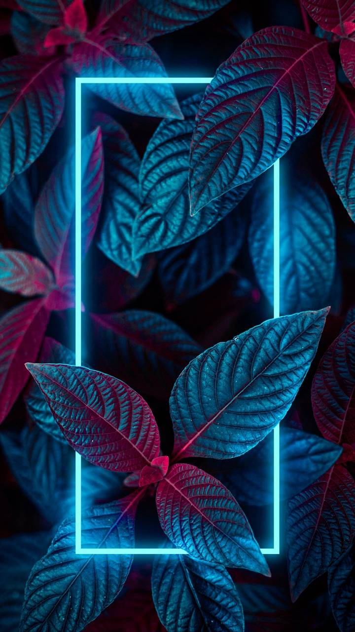 Neon Nature Foliage Wallpaper Wallpaper, iPhone Wallpaper