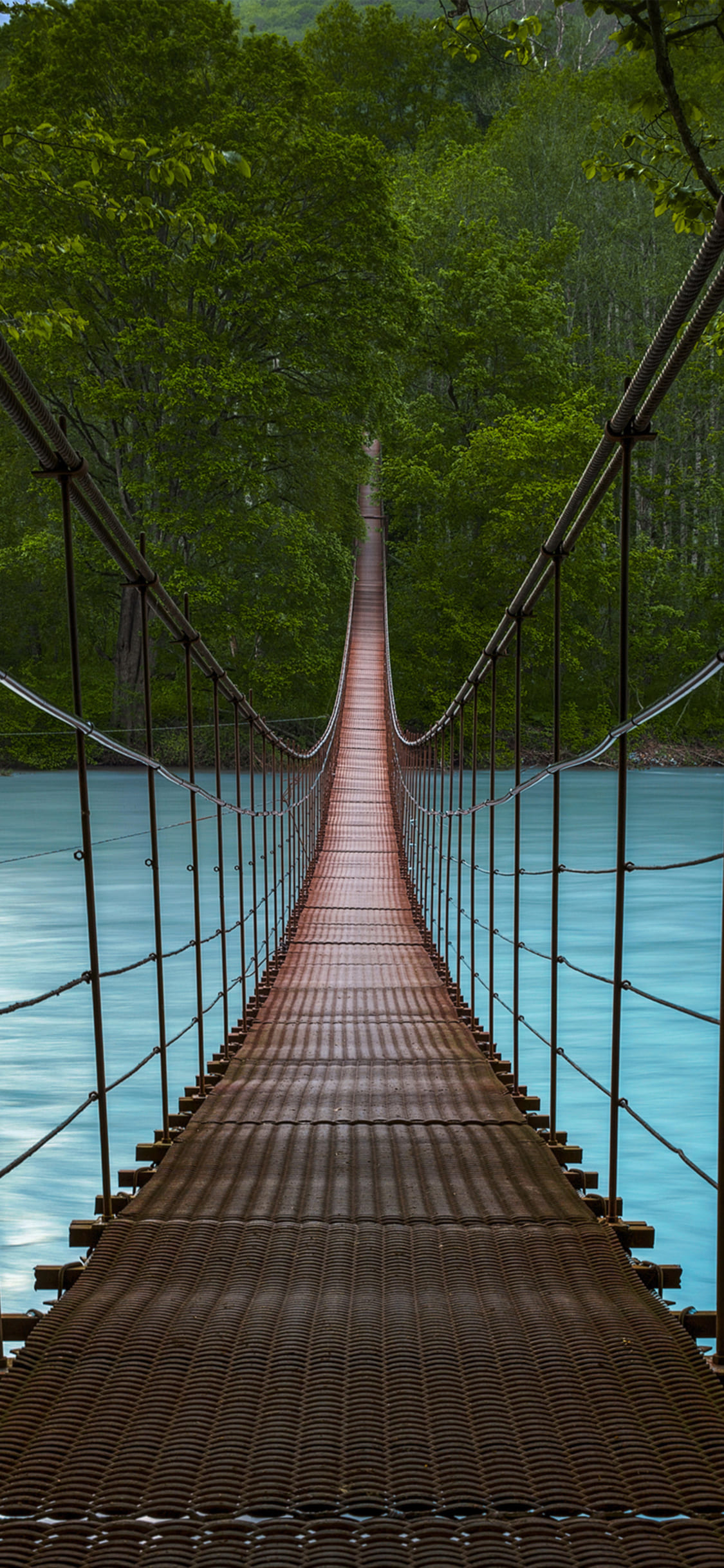 Best Nature iPhone Wallpaper