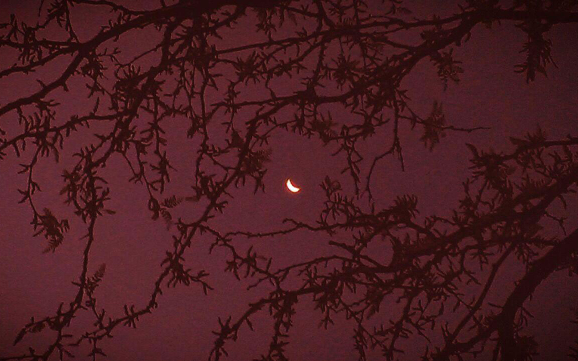 Maroon Aesthetic Wallpaper Moon • Wallpaper For You