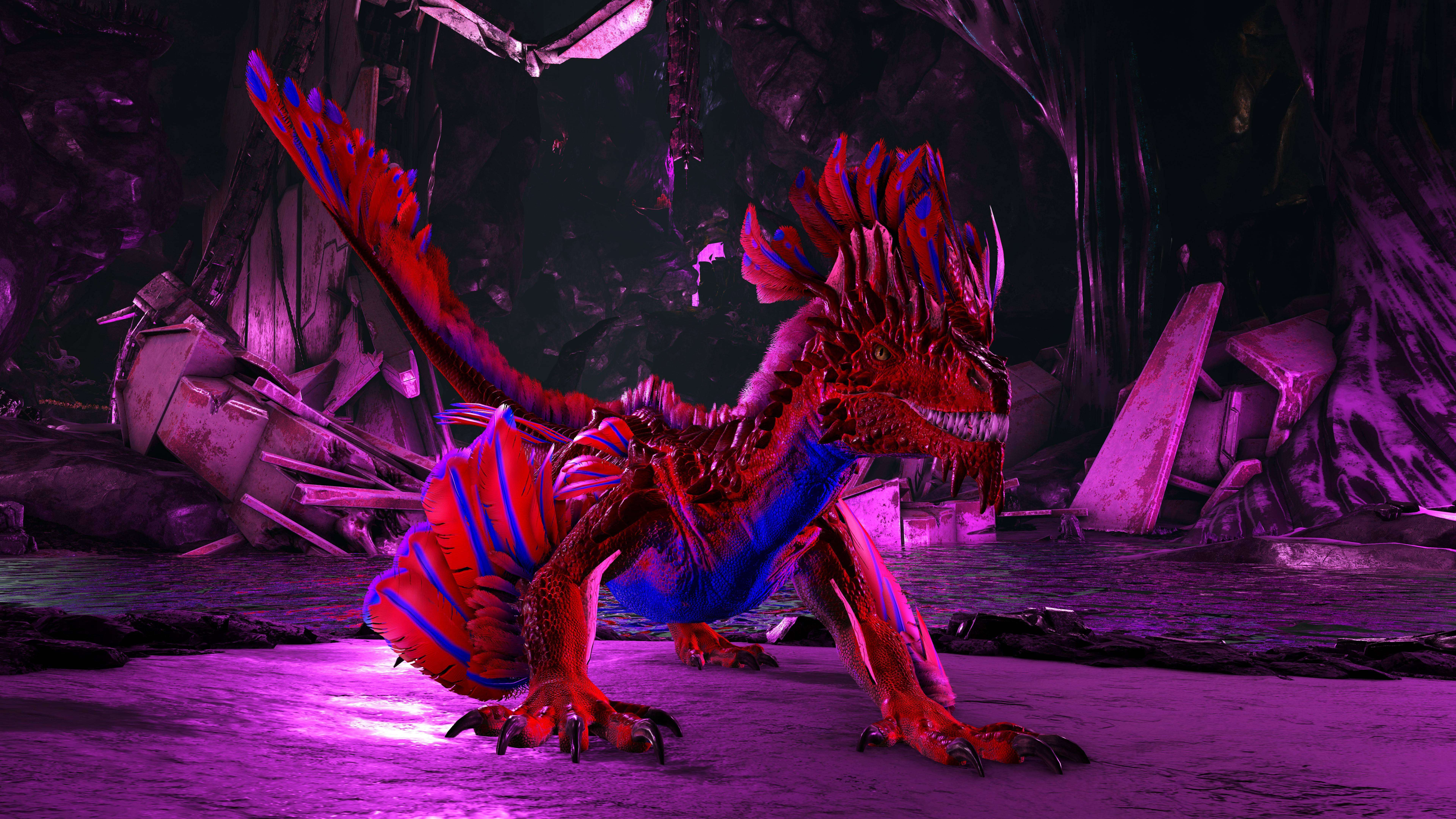 Here's a colourful Rock Drake