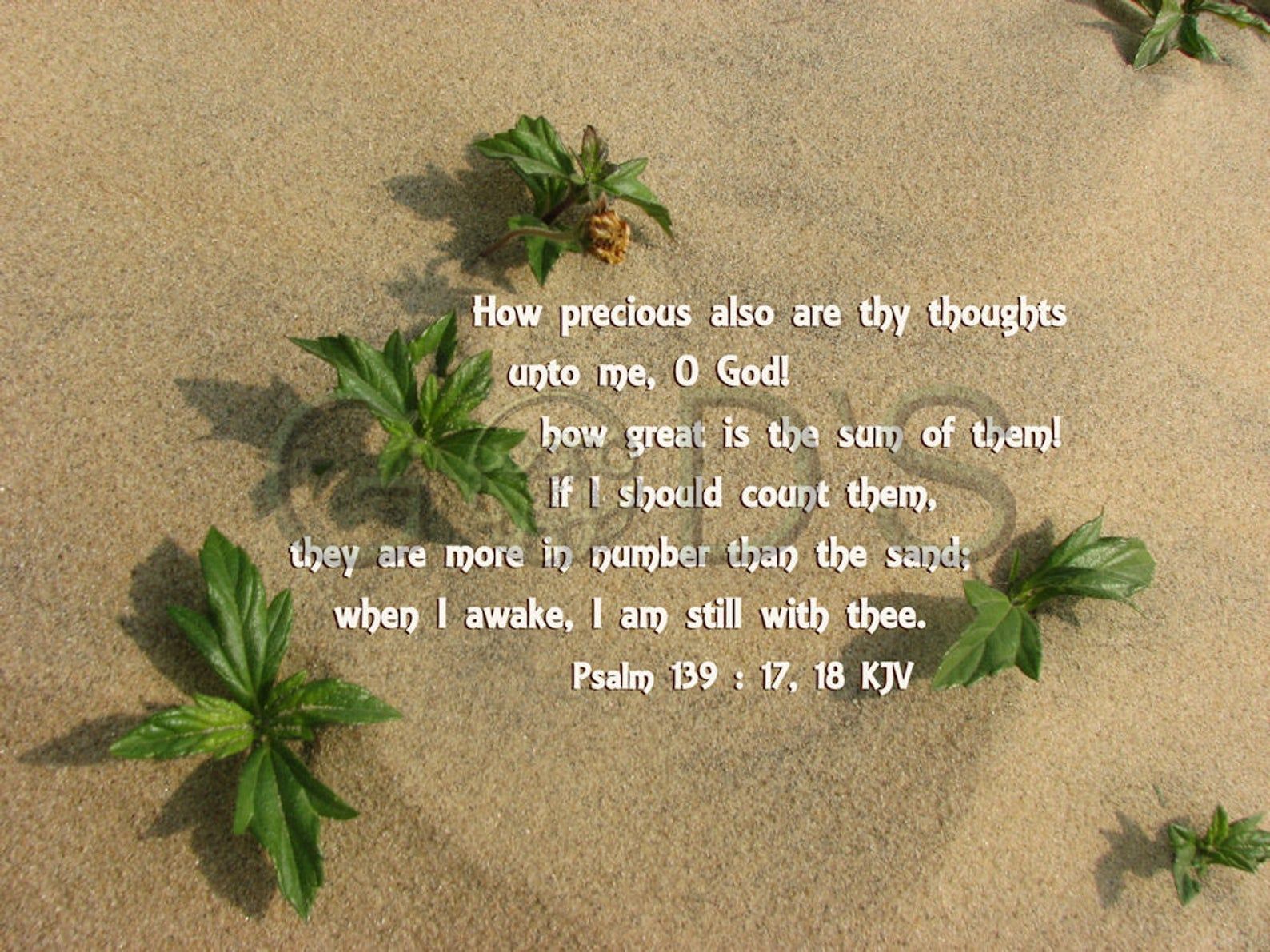 Psalm 139:17 18 KJV Scripture Picture Beach Xiamen China