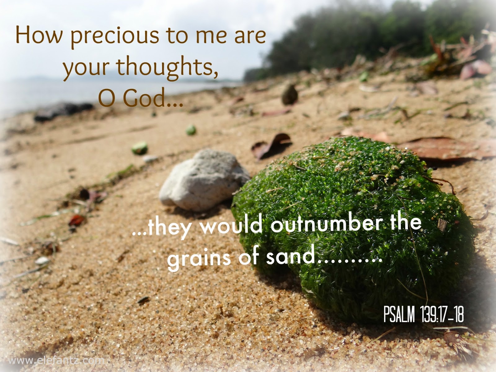 Jenny Of ELEFANTZ: Sunday Scripture Psalm 139:17 18