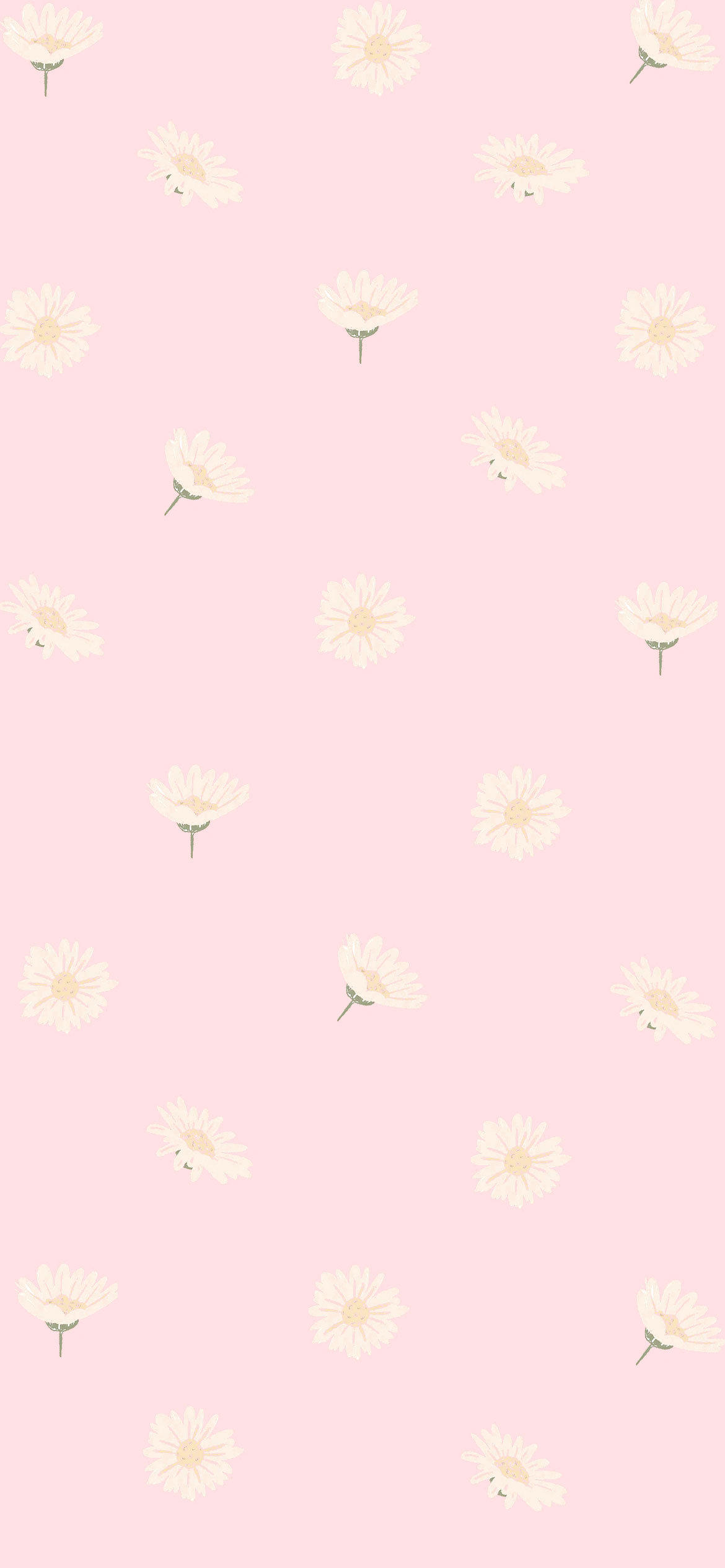Pink Aesthetic Picture, Daisy on Pink Wallpaper