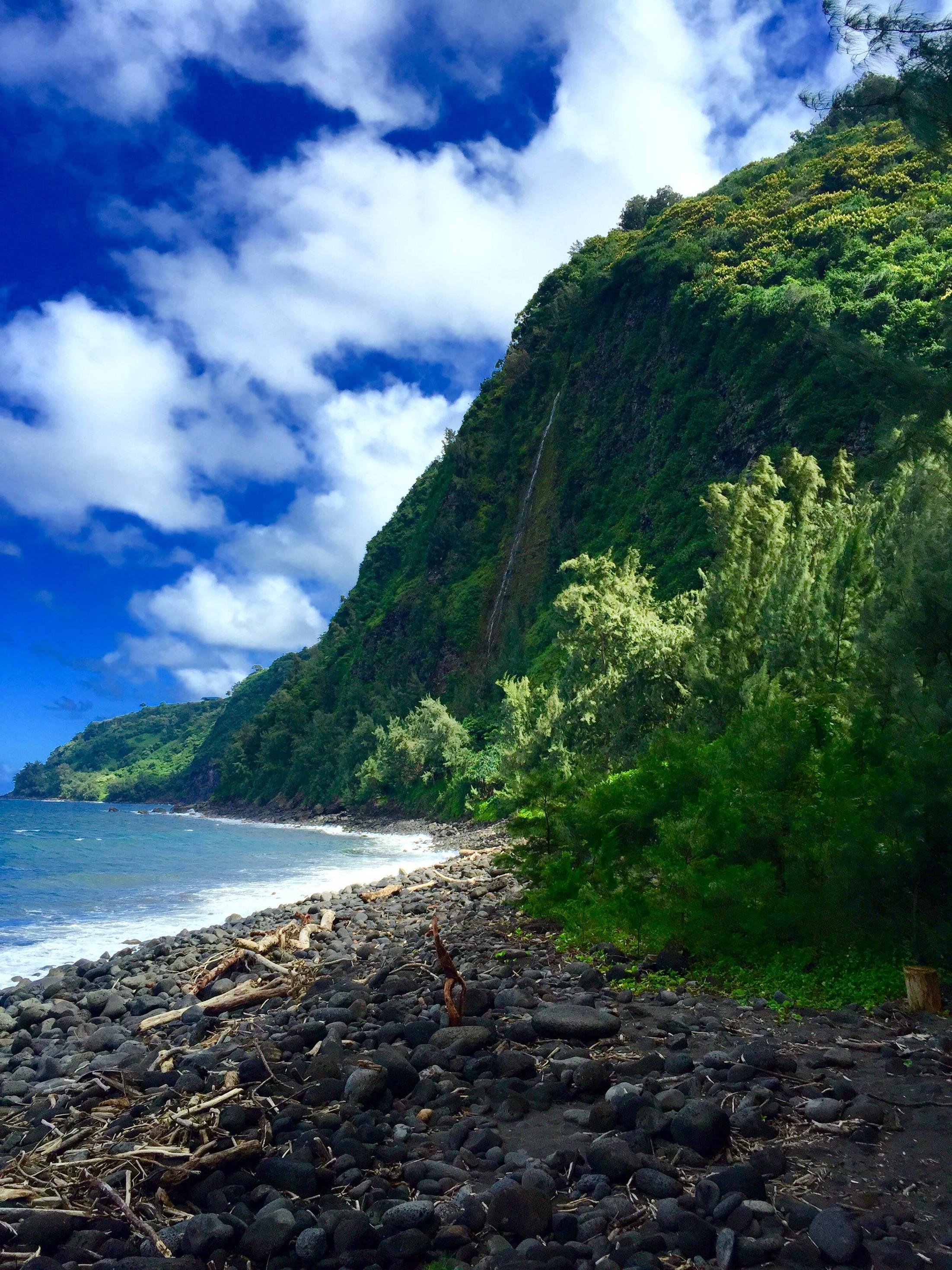 View From the Floor of the Waipio Valley Big Island HI HD wallpaper