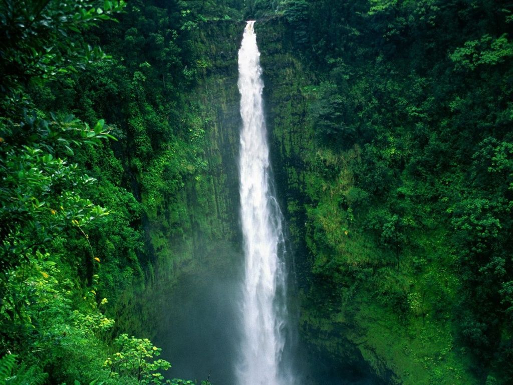 Perfect Waterfall wallpaper. Hawaii waterfalls, Hawaii picture, Big island hawaii