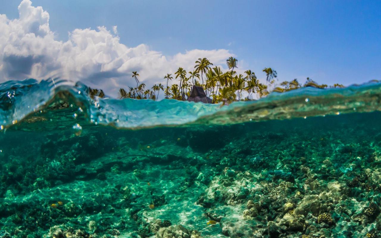 Hawaii Underwater Wallpaper