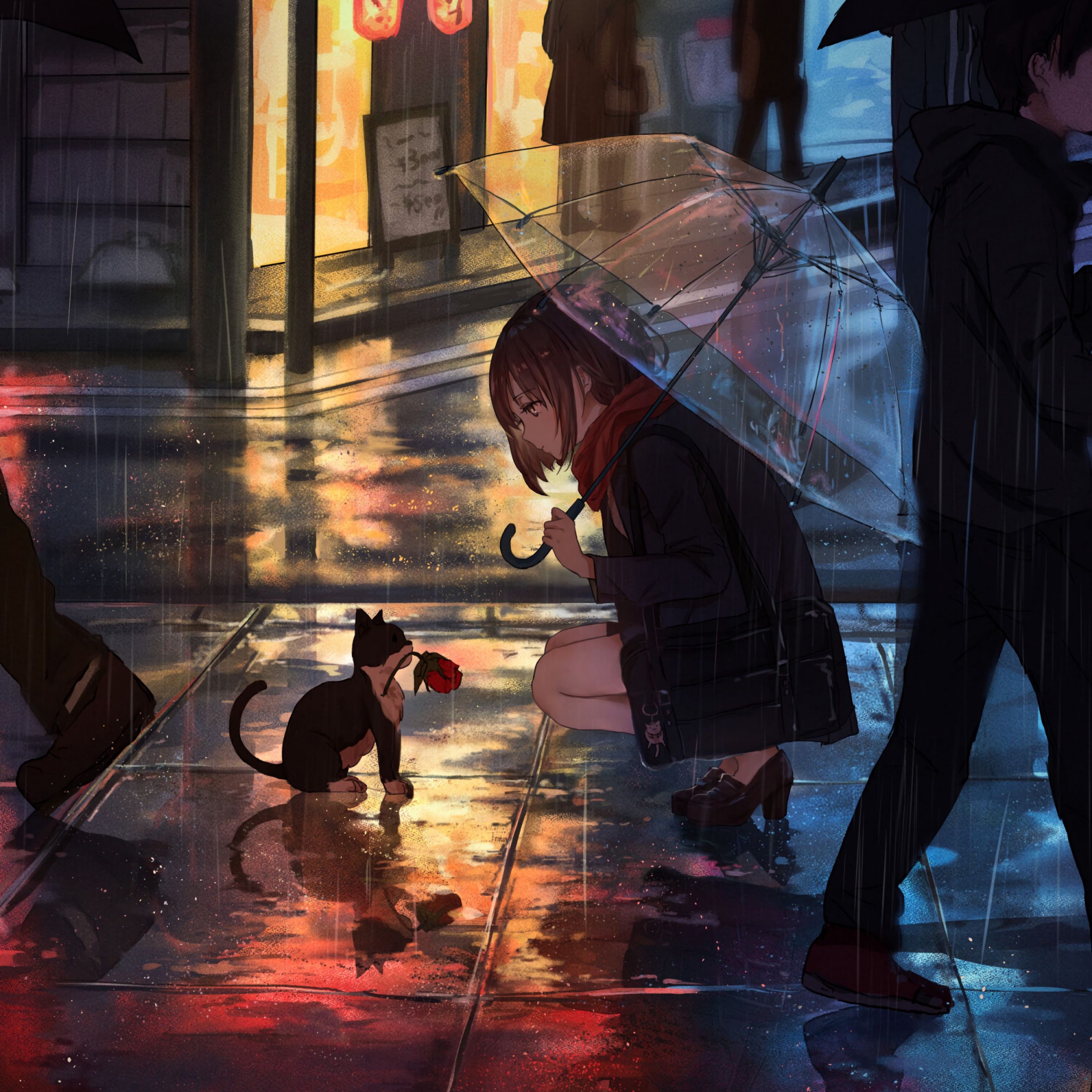 Download wallpaper 2780x2780 girl, kitten, flower, anime, street, rain ipad air, ipad air 2, ipad 3, ipad 4, ipad mini 2, ipad mini 3, ipad mini 4, ipad pro 9.7 for parallax HD background