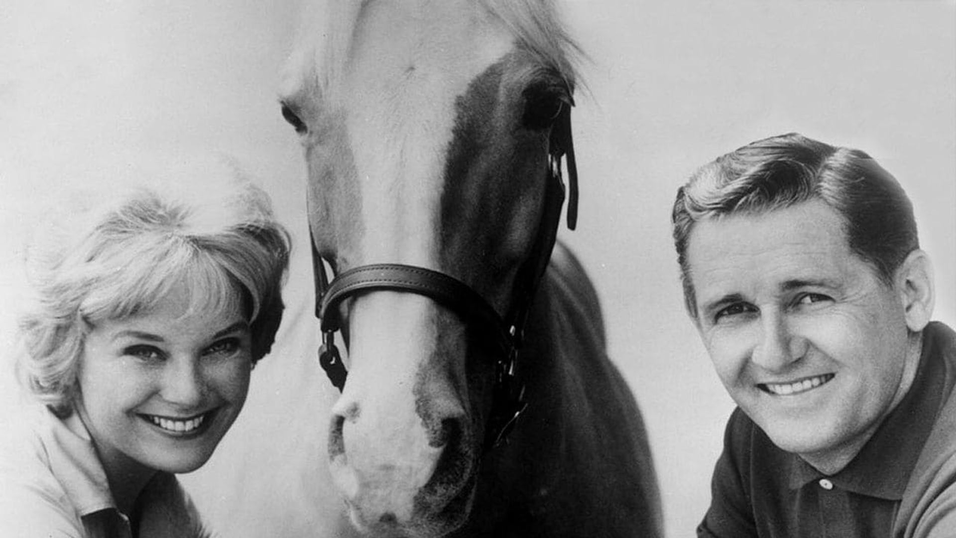 Mister Ed Wallpapers - Wallpaper Cave
