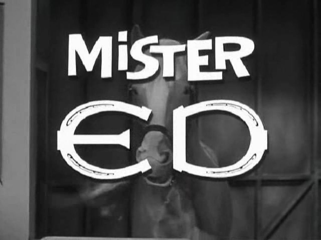 A Shroud of Thoughts: The Famous Mister Ed