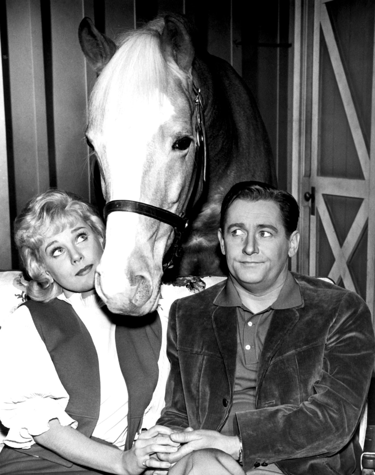 Mister Ed Wallpapers - Wallpaper Cave