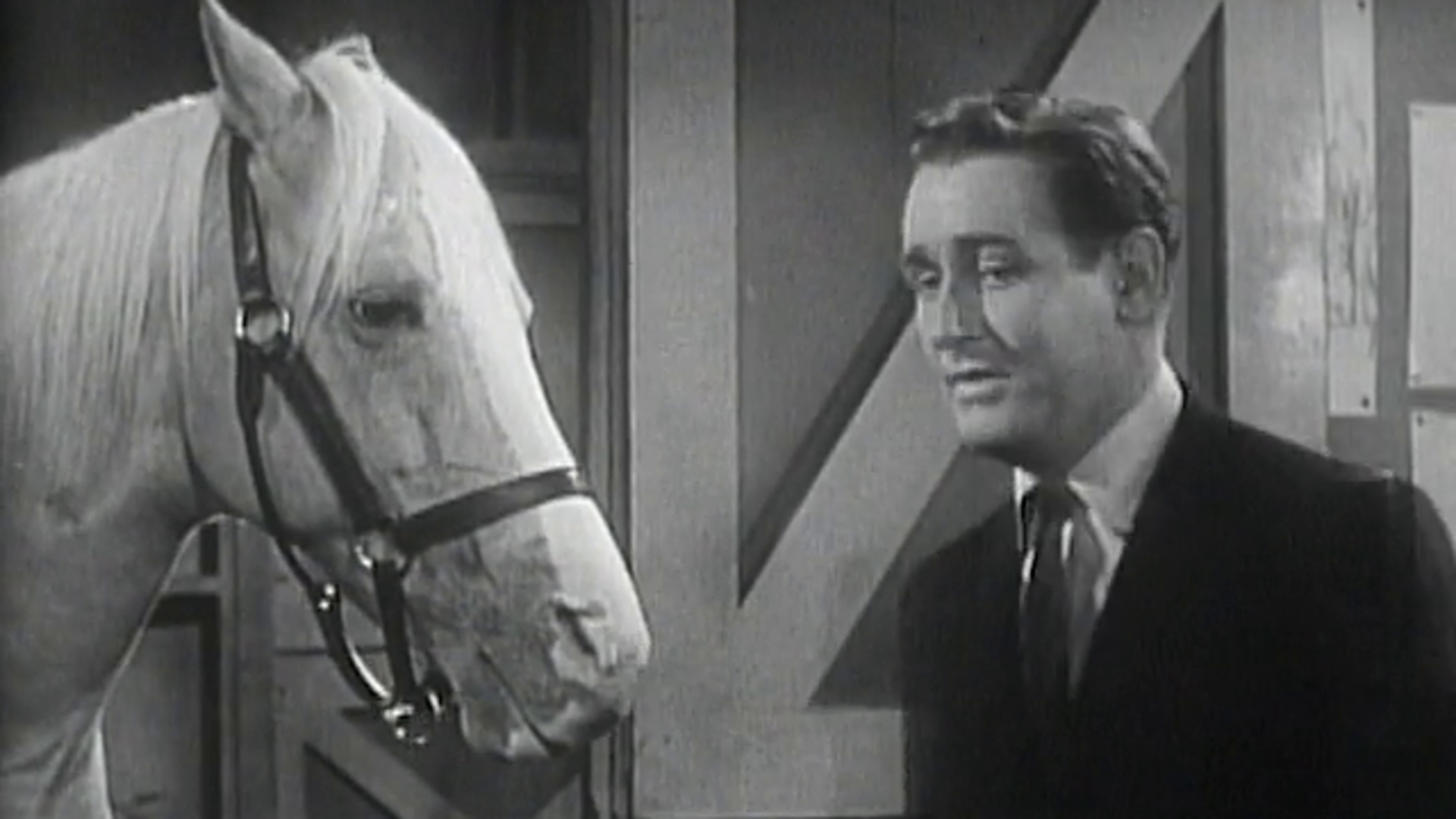 Mister Ed Wallpapers - Wallpaper Cave
