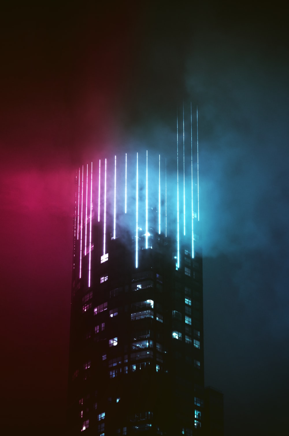 Neon Picture [HQ]. Download Free Image