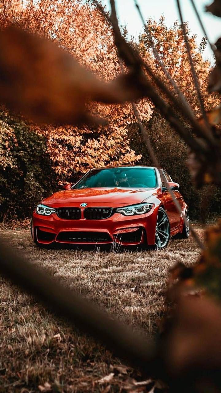 BMW M3 wallpaper