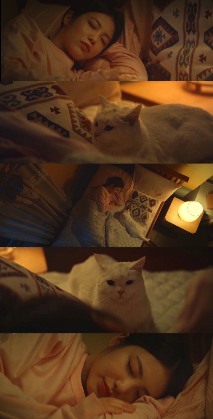 Meow, the Secret Boy Kim Myung Soo (L) & Shin Ye Eun