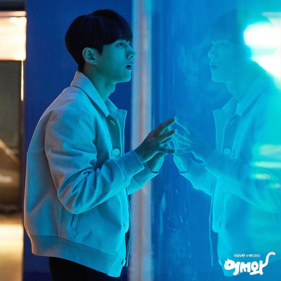 Meow, the Secret Boy Photo