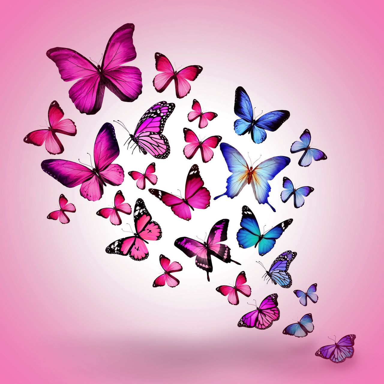 Download wallpaper 1280x1280 butterfly, drawing, flying, colorful, background, pink ipad, ipad ipad mini for parallax HD background