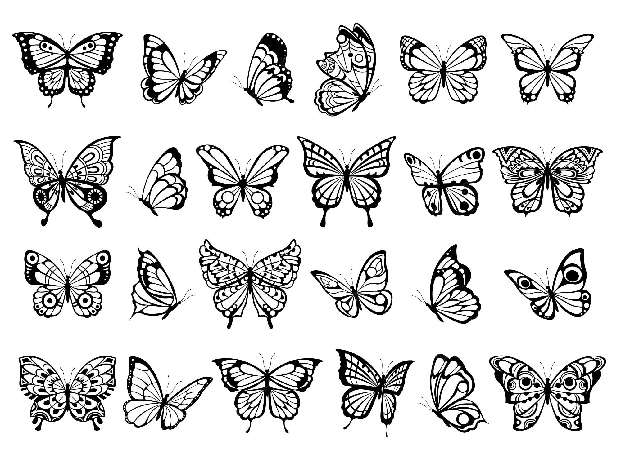 Бабочка в разных ракурсах рисунок