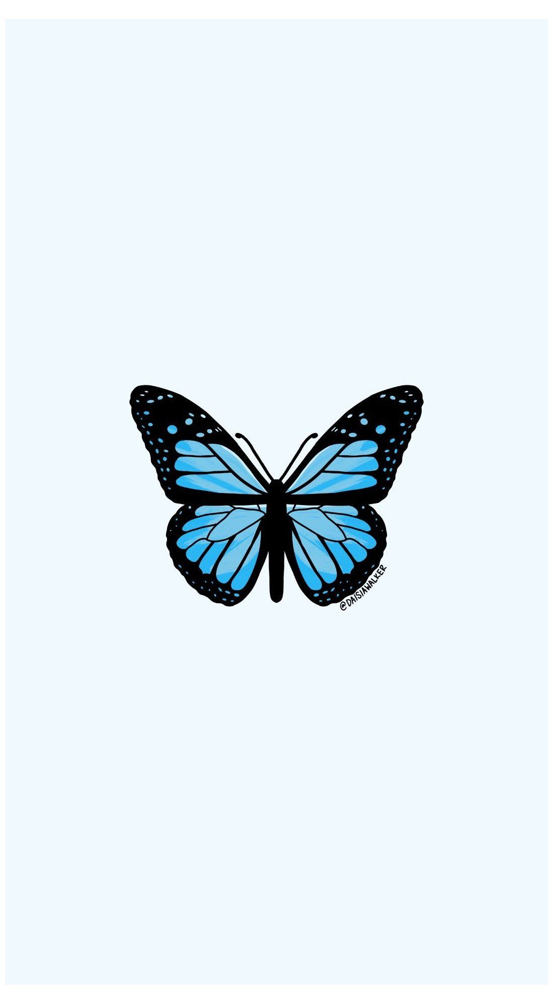 butterfly aesthetic drawing