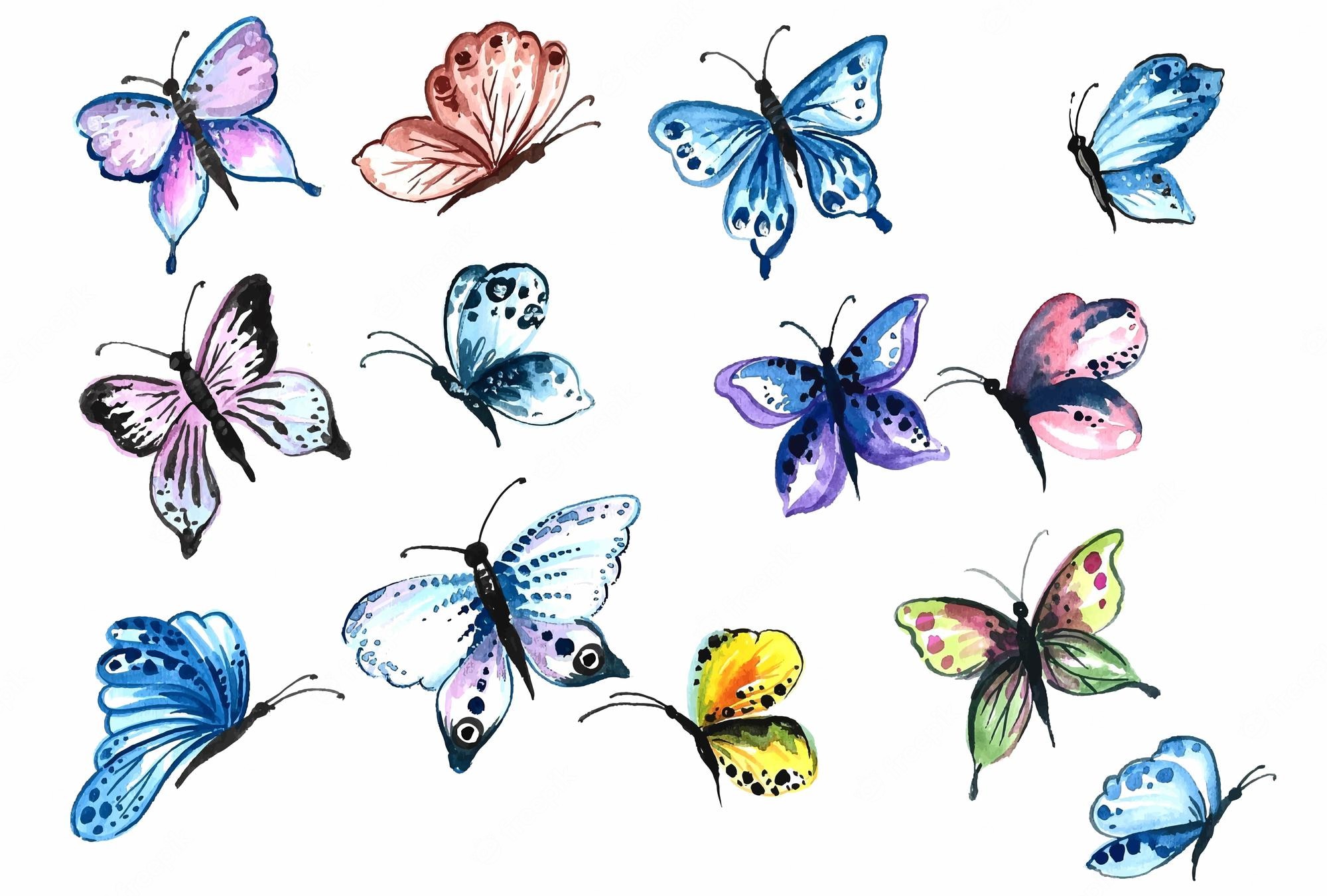Butterfly Pattern Image. Free Vectors, & PSD