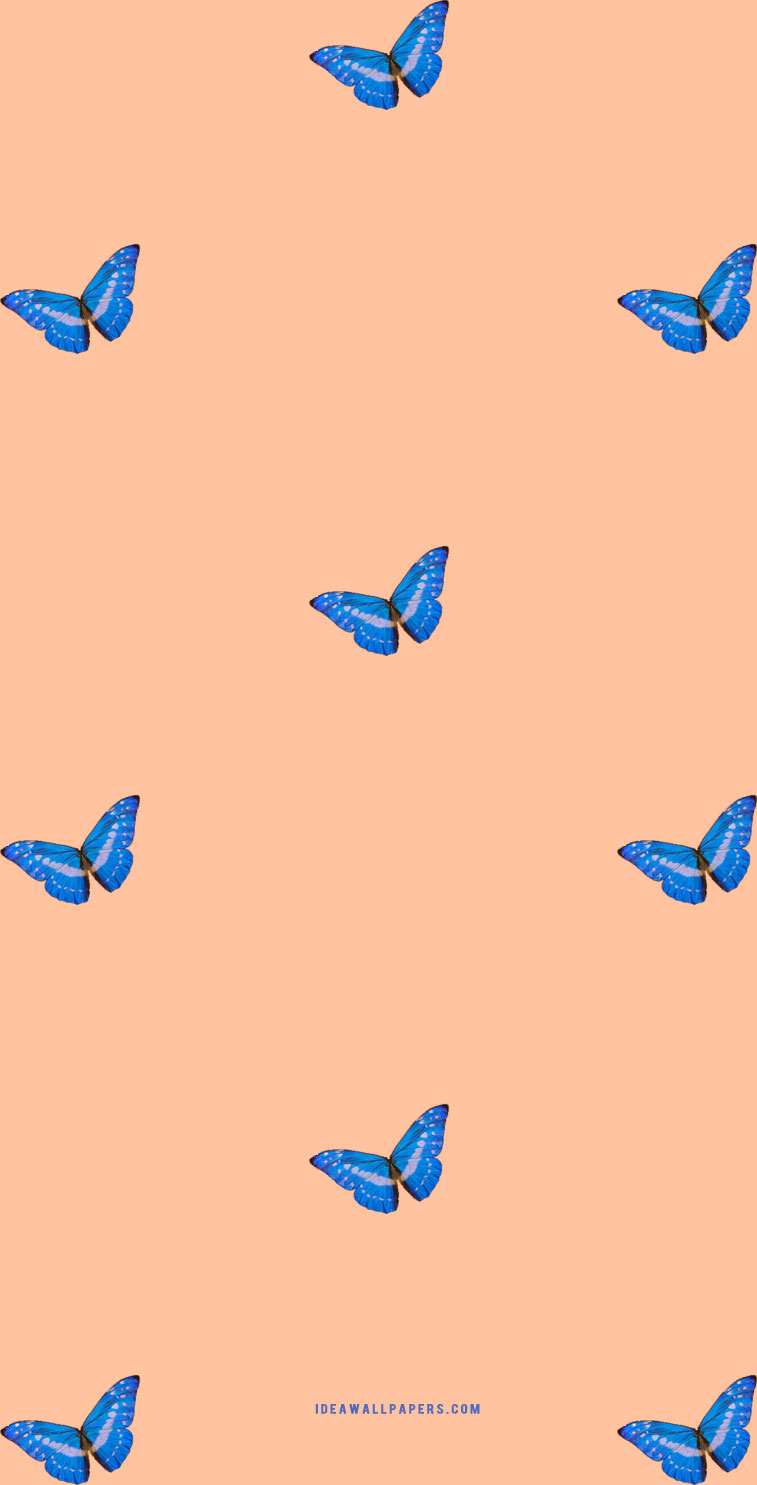 Butterfly on peach background Wallpaper