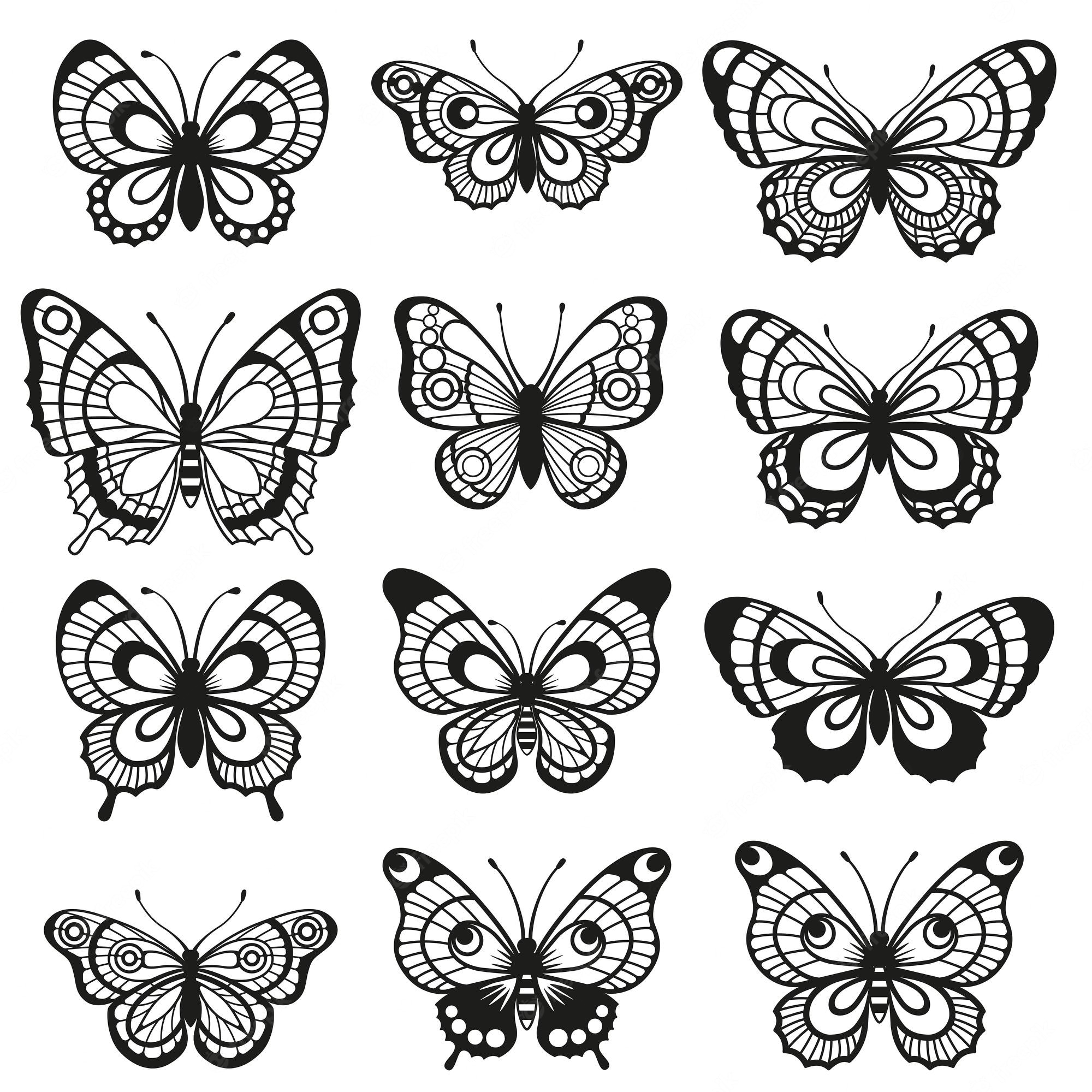 Butterfly Drawing Image. Free Vectors, & PSD