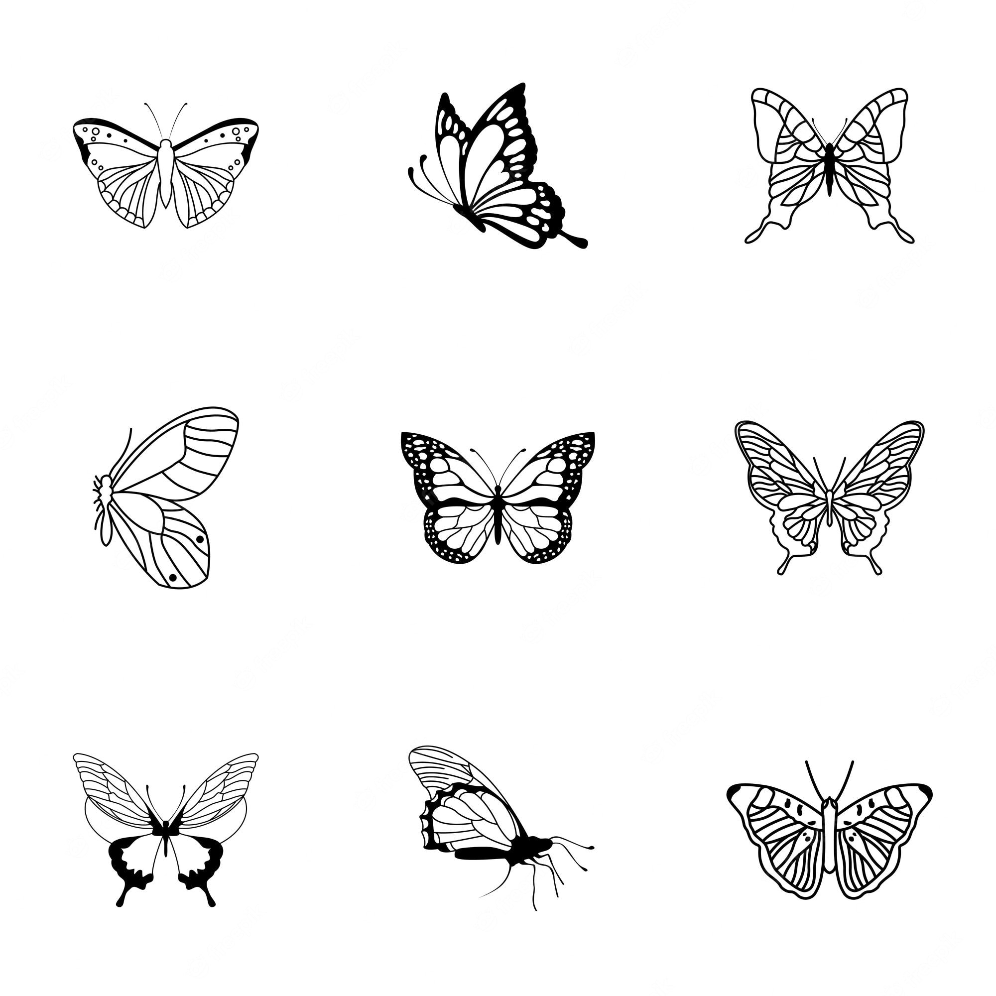 Butterfly Drawing Image. Free Vectors, & PSD