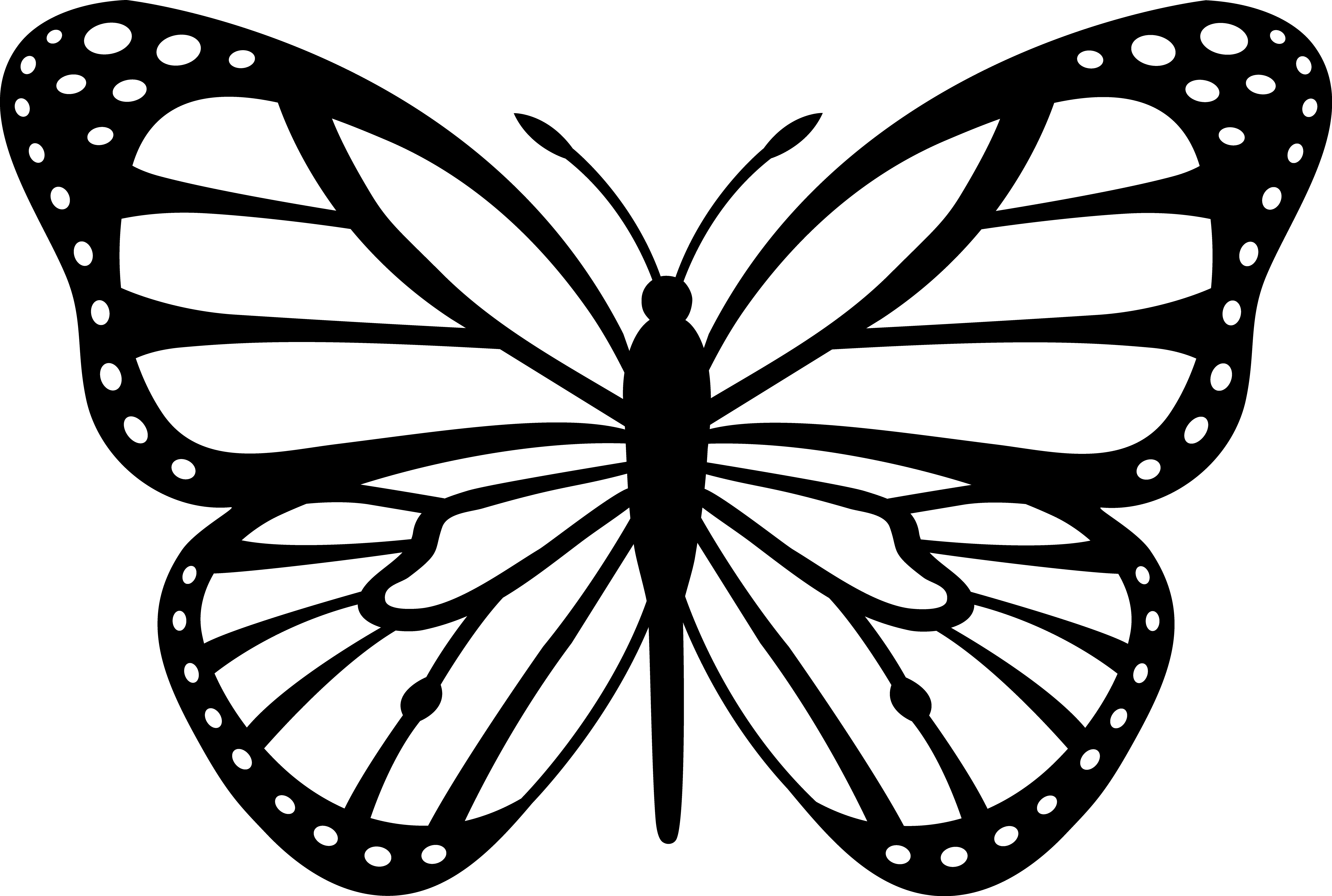 Free Butterfly Outline Transparent, Download Free Butterfly Outline Transparent png image, Free ClipArts on Clipart Library