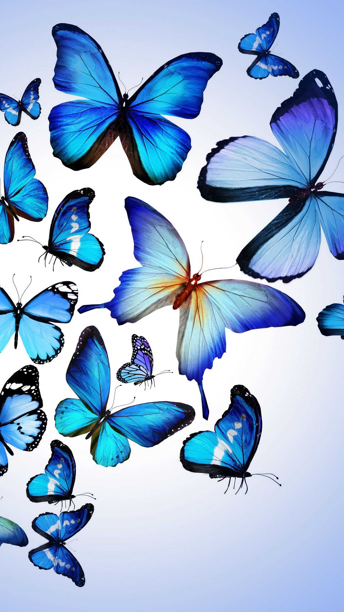 Download wallpaper 1440x2560 butterfly, colorful, blue, drawing, art, beautiful qhd samsung galaxy s s edge, note, lg g4 HD background