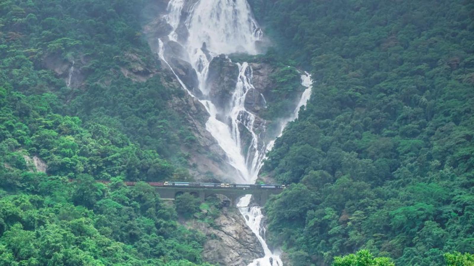 All you need to know about the road to Goa's Dudhsagar that has environmentalists fuming