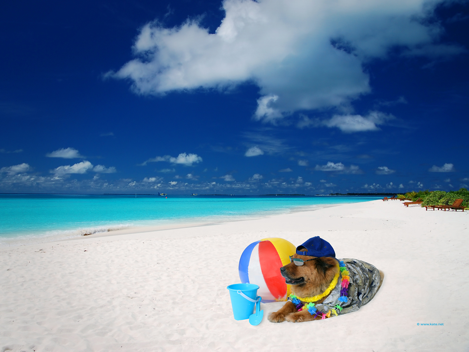 Summer Wallpaper for Your Desktop by Kate.net