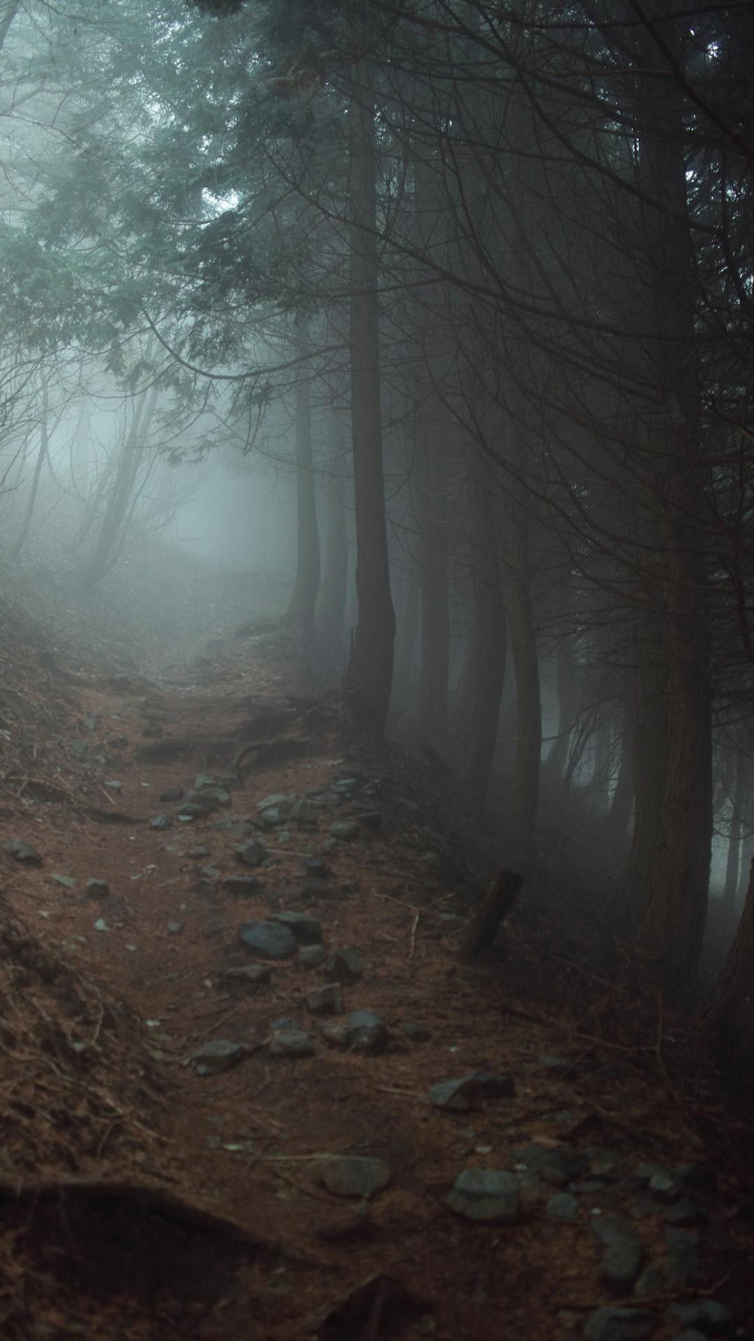 Free download plus HD 1080x1920 nature wood foggy iphone 6s plus wallpaper [1080x1920] for your Desktop, Mobile & Tablet. Explore iPhone 6s Plus Wallpaper Size. iPhone 6s Plus Wallpaper